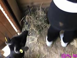 milf sucks cock cream