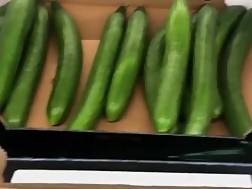 teenager masturbation huge cucumber