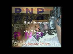 Porn Video