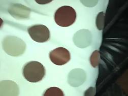 dress doggy