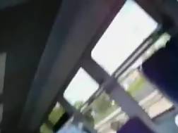 teen sucking prick train