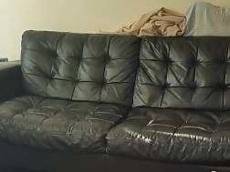 wifey bang sofa