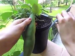 cucumber penetrate herself