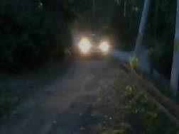 fuckin car forest