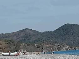 public sucks beach jizz